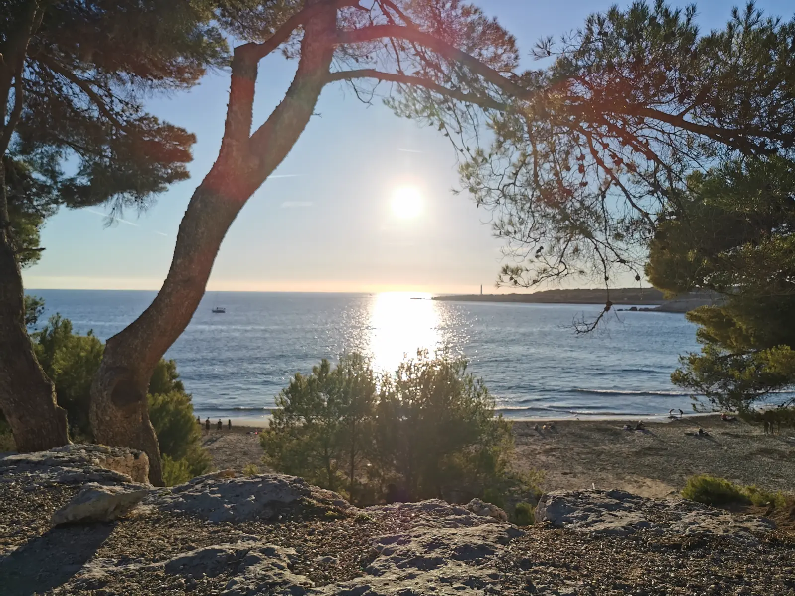 Coucher de soleil sur la mer depuis les pins de la plage de Sainte-Croix, sur la Côte Bleue